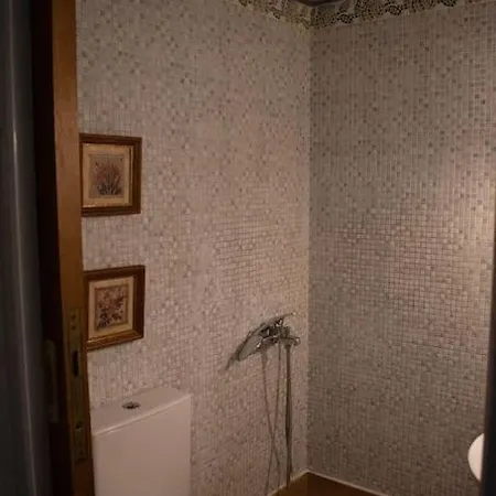 Domus Meus Apartament *